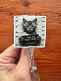 Kitten Badge Reel, Cat badge, Bad Kitty Badge, Nurse Badge, Student Nurse, LVT badge, Teacher Badge, DVM badge, RVT badge, Veterinary Badge